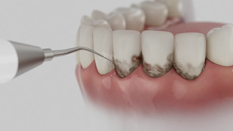 Reliable Dental contractor in Pughtown, PA by Dentist Open Now